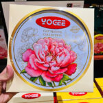 hop banh yogee oat festive collection 305g